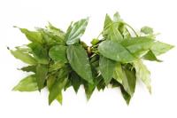 Sack tree leaf / Bai Ya Nang 100Gr - 1